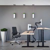Стол для работы стоя WellDesk с электроприводом Bosch двухмоторный 28мм (ясень шимо, серый)