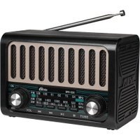 Радиоприемник Ritmix RPR-020