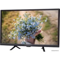 Телевизор Horizont 24LE5011D
