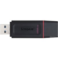 USB Flash Kingston Exodia 256GB