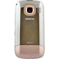 Кнопочный телефон Nokia C2-06