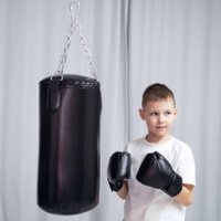 Перчатки для бокса Romana МФ-МК-01.71.03 (черный)