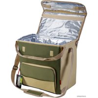 Термосумка БИОСТАЛЬ TC-30G 30л (зеленый)