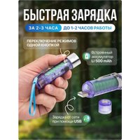 Фонарь FORSAGE F-CAM590 (60097)