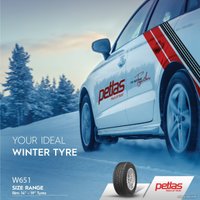 Зимние шины Petlas SnowMaster W651 195/60R15 88H