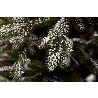 Ель GreenTerra Квебек 1.8 м