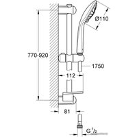 Душевой гарнитур  Grohe Euphoria 110 Massage 27226A01 (темный графит)