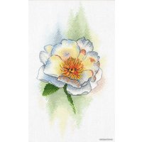 Набор для вышивания М.П.Студия Белый пион А-048