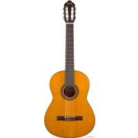 Акустическая гитара Valencia VC204 N