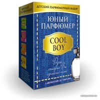 Набор для создания косметики Каррас Юный Парфюмер. Cool Boy 328