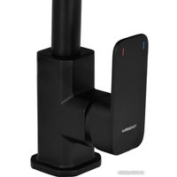 Смеситель Wisent WG4033B-2