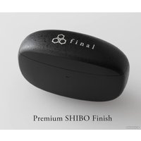 Наушники Final Audio Design ZE3000 (черный)