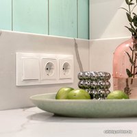 Розетка Werkel W1171101