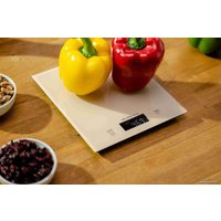 Кухонные весы Zelmer ZKS1100