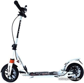 Двухколесный подростковый самокат Scooter Urban Disk 116D (белый)