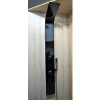 Душевая панель Leroy Titanium Black