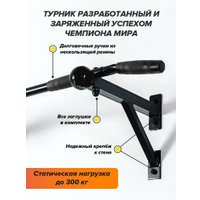 Турник Absolute Champion Aktiv Maх АЧ 11638 (черный/черные ручки)