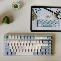 Клавиатура Varmilo VXT81 Eucalyptus (Kailh Prestige Light, нет кириллицы)