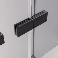 Душевая дверь Veconi Alassio AL-120-11-BB-C4 (стекло черное/черный)