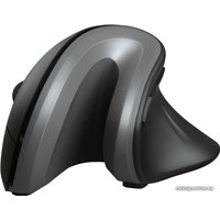 Вертикальная мышь Trust Verro Ergonomic Wireless Mouse