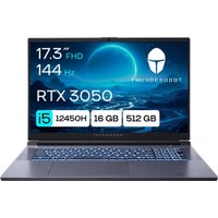 Игровой ноутбук Thunderobot 911 Plus SD JT009800KRU