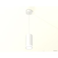 Подвесная люстра Ambrella light XP XP8161025