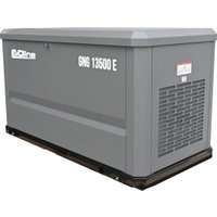 Газовый генератор Evoline GNG 13500 E в Лиде