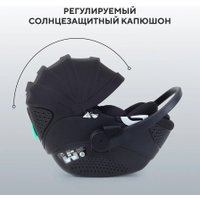 Детское автокресло Rant Aster Zero AY378 (черный)