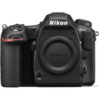 Зеркальный фотоаппарат Nikon D500 Body