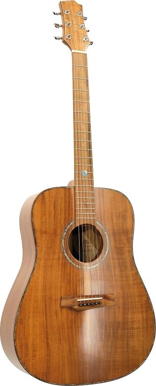 

Акустическая гитара Randon RGI-500