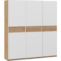 Шкаф-купе Трия Оскар Скания Т2 2100 268736 (ручка белая/дуб крафт золотой/белый снег/дуб тортугга)