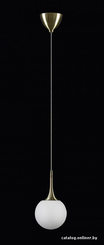 Светильник Lightstar 813011