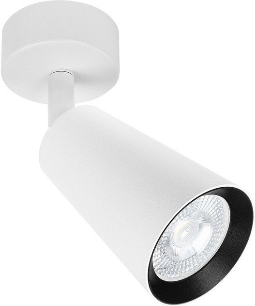 

Точечный светильник Arte Lamp Cintura A2352PL-1WH