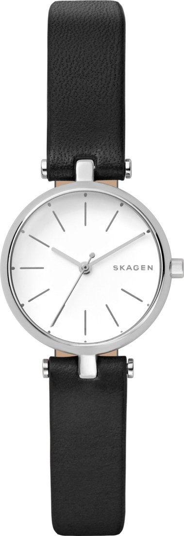 

Наручные часы Skagen SKW2639