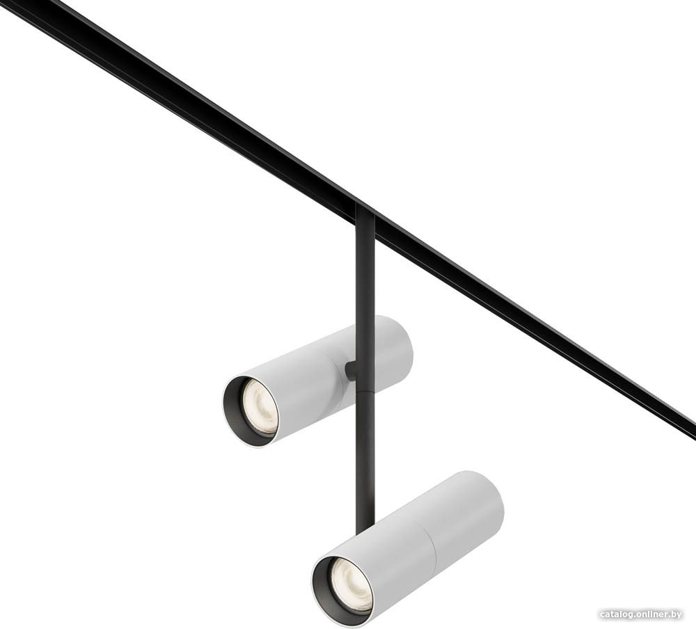 Трековый светильник Maytoni Elti Duo TR005-4-2X12W-DS-BW