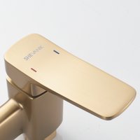 Гигиенический душ Shevanik S9905G-1