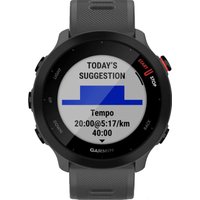 Умные часы Garmin Forerunner 55 (серый)