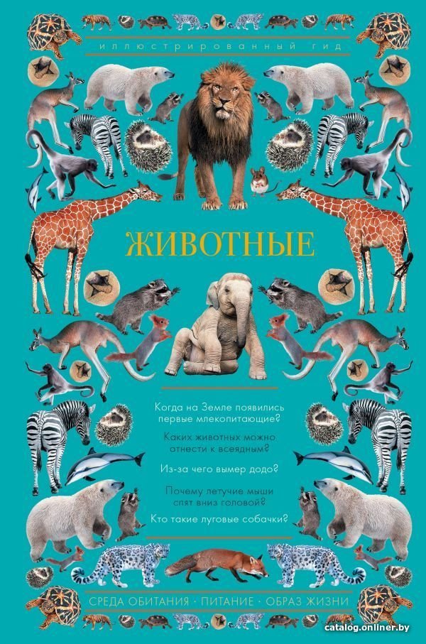 АСТ. Животные. Иллюстрированный гид (Чудова Анастасия Витальевна)