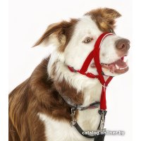 Недоуздок Halti Headcollar 12406/COA (Size 2, красный)