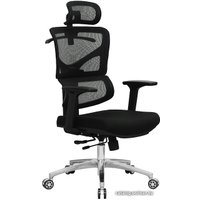 Офисное кресло Evolution ERGO Fabric (черный)