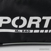 Спортивная сумка Mr.Bag 020-S050R-MB-BGR (серый)