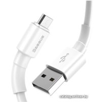 Кабель Baseus CAMSW-02