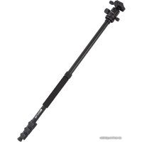 Трипод Raylab Pro 65 (с головой)