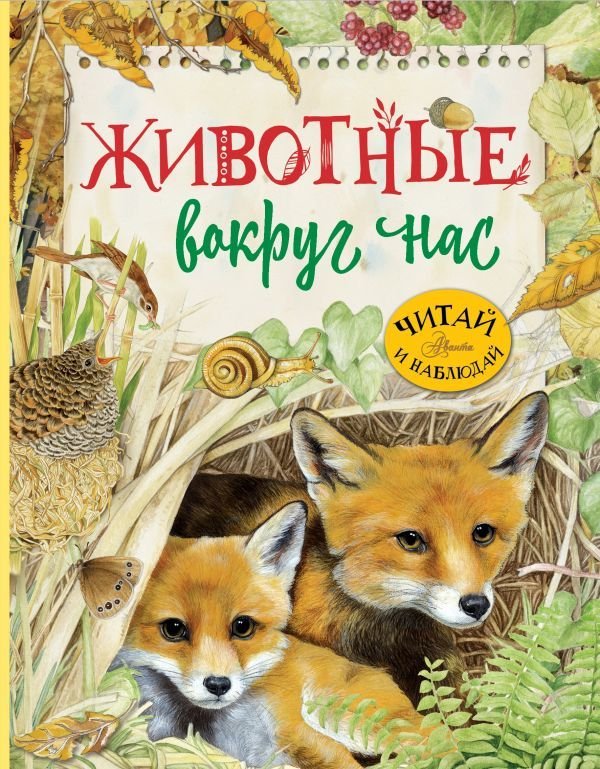 

АСТ. Животные вокруг нас (Барсотти Ренцо)