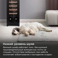 Винный шкаф MAUNFELD MBWC-56S20