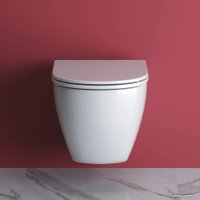 Унитаз подвесной Cezares Stylus-Tor CZR-6601-TH-TOR (без сиденья) в Борисове