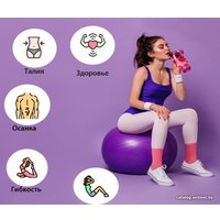 Гимнастический мяч Sabria Sport 65J (фиолетовый)