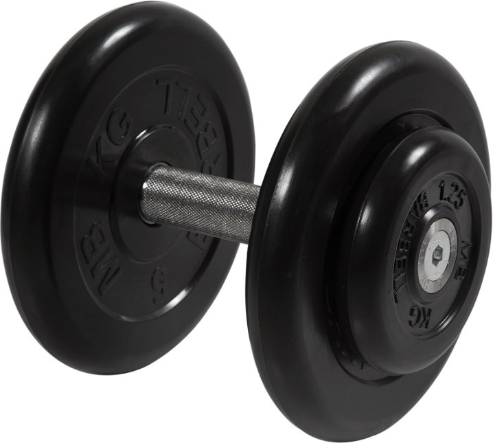 

Гантель MB Barbell Профи 13.5 кг (вращающаяся ручка)