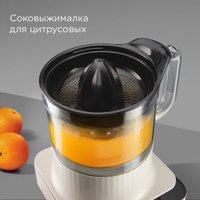 Кухонный комбайн Redmond (Редмонд) FP608 (бежевый)