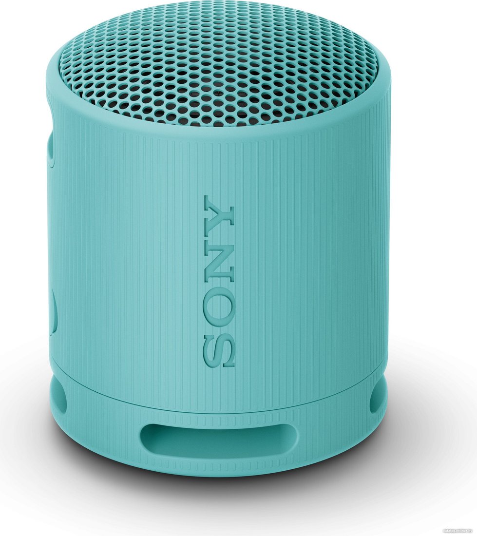 

Беспроводная колонка Sony XB100 (голубой)
